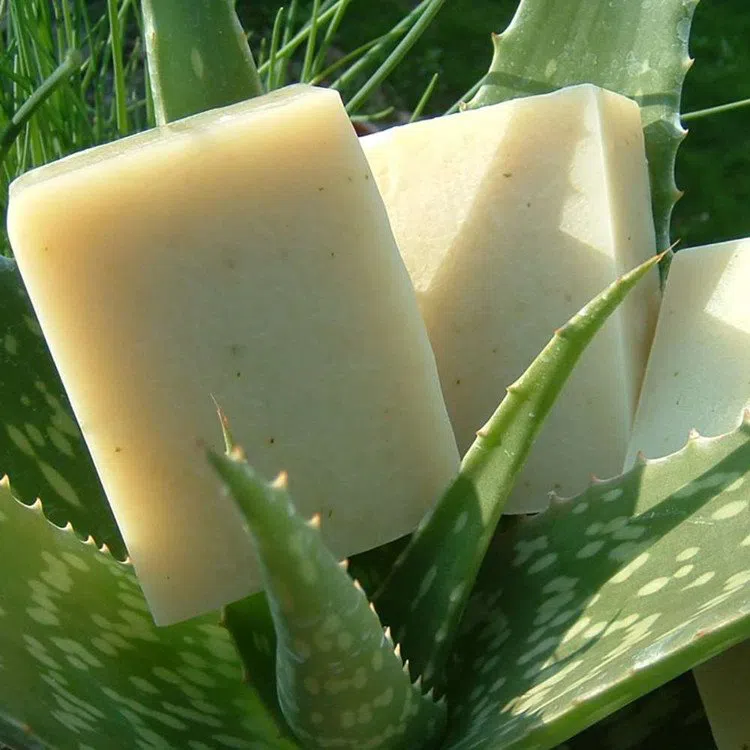 Aloe Vera Soap